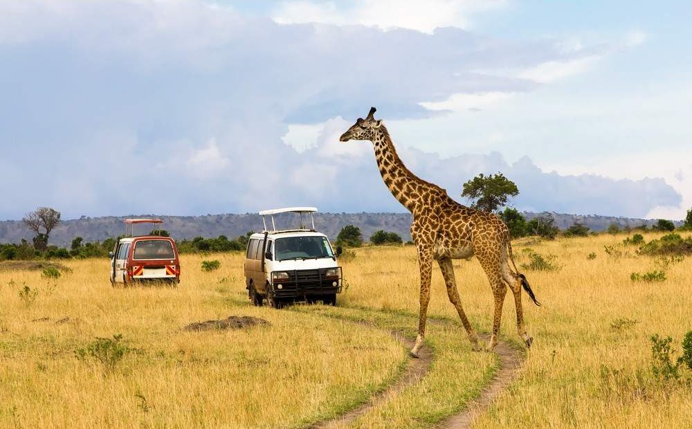 Masai_Mara_National_Reserve_109