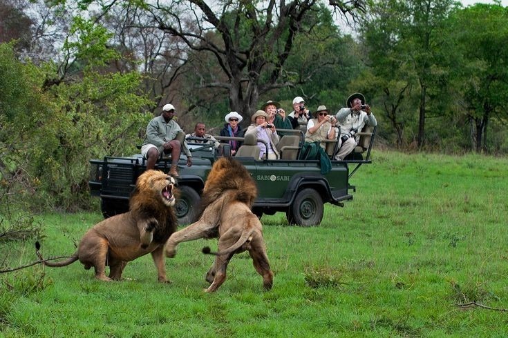 The Top Safari Destinations In East Africa