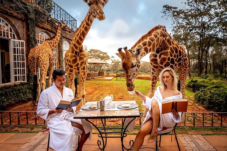How to Plan an African Safari