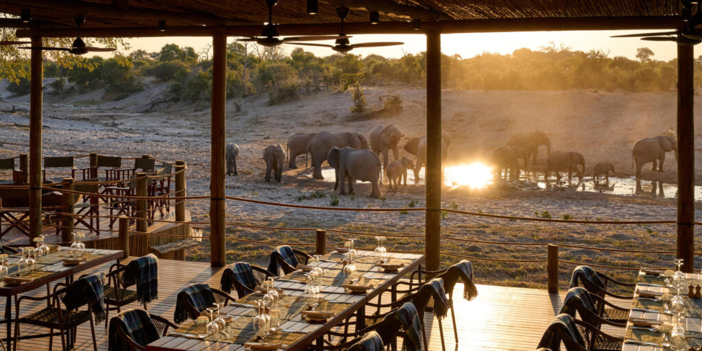 dining savute safari lodge savute botswana