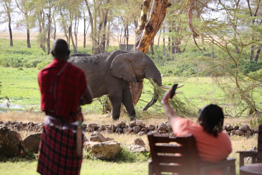 14 amboseli waterhole