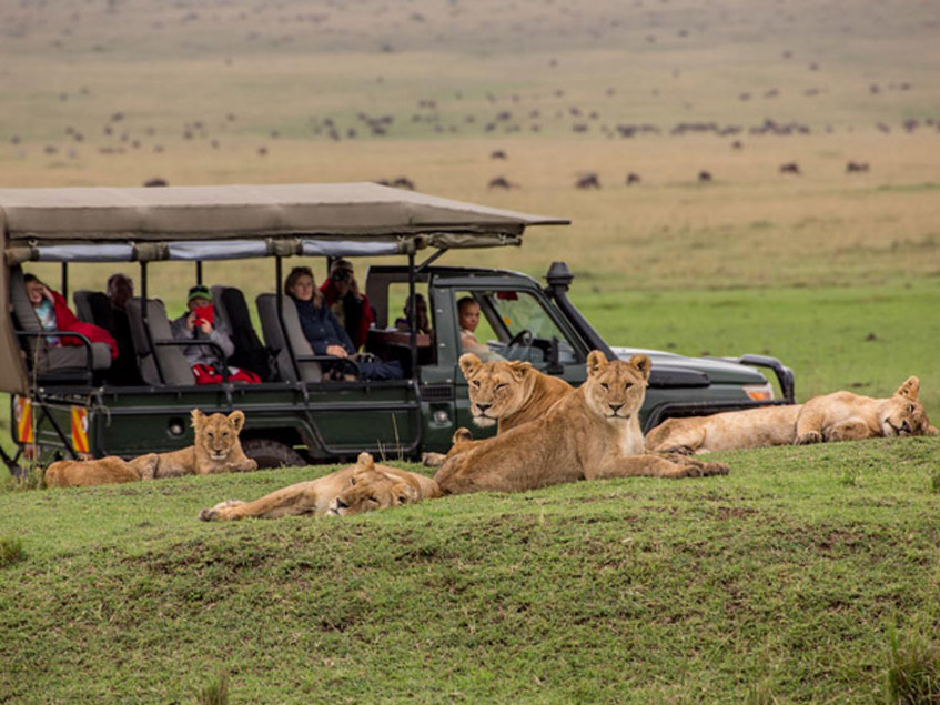 GAME DRIVE CAMPTREK