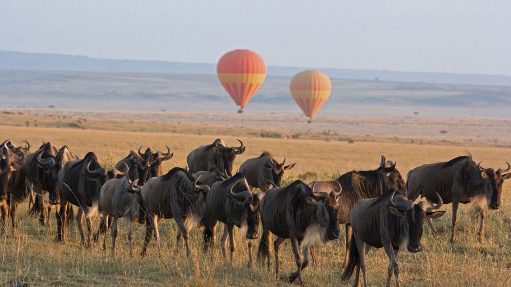 Serengeti Balloon Safari andBeyond Experience
