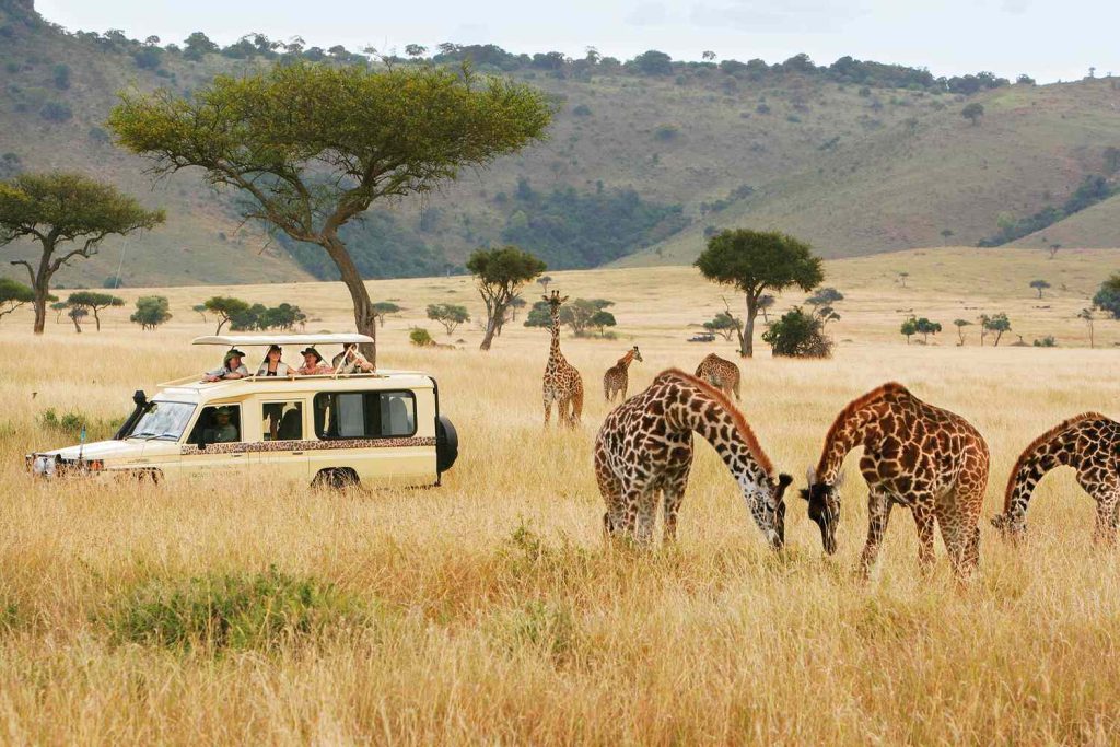 camtrek safari game drive
