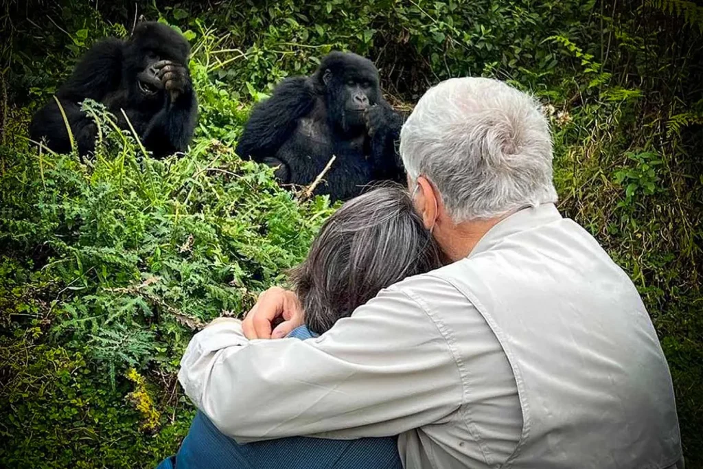 couple gorilla trekking