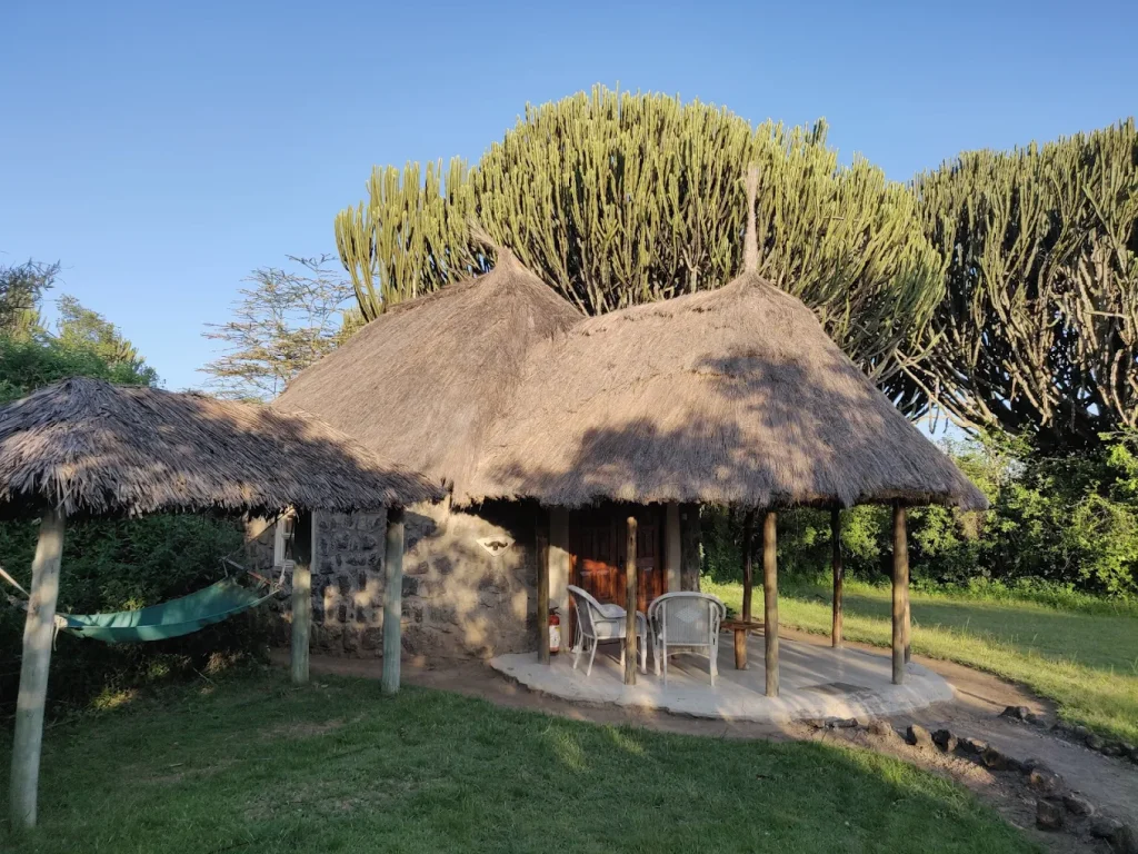 mbweha camp nakuru