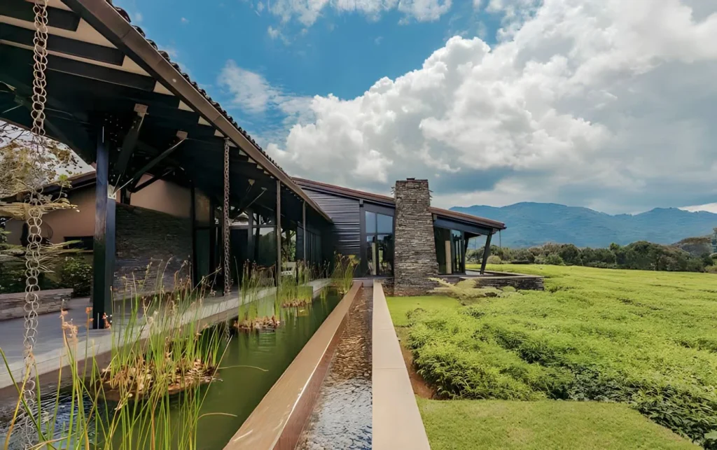 nyungwe forest lounge