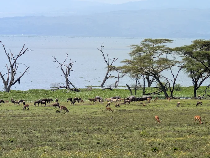 Crescent Island, Lake Naivasha, Kenya