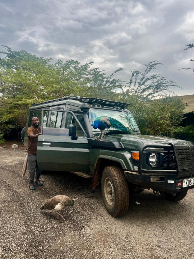 WhatsApp Image 2026 03 13 at 10.16.35 AM 6