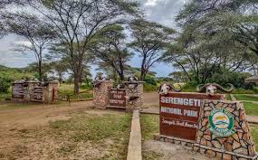 serengeti gate camptrek1