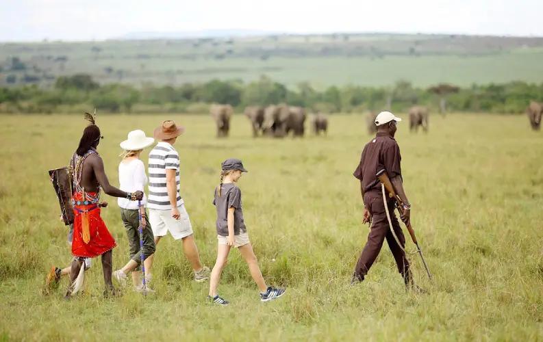 Masai Mara Conservancies Explained (2026–2027 Luxury Safari Guide) 1 MARA C