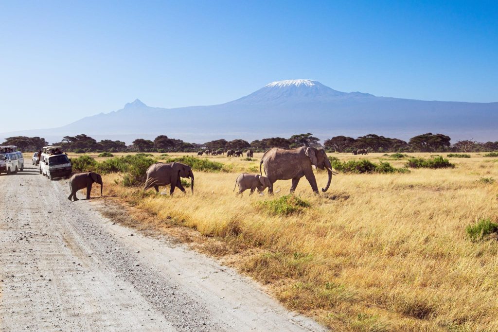 amboseli camptrek safaris