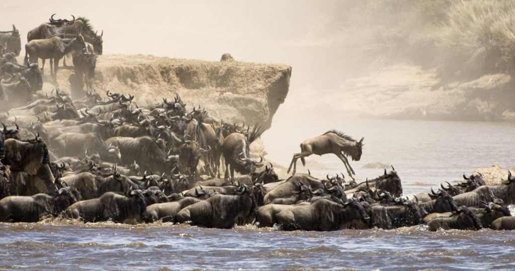 dry season