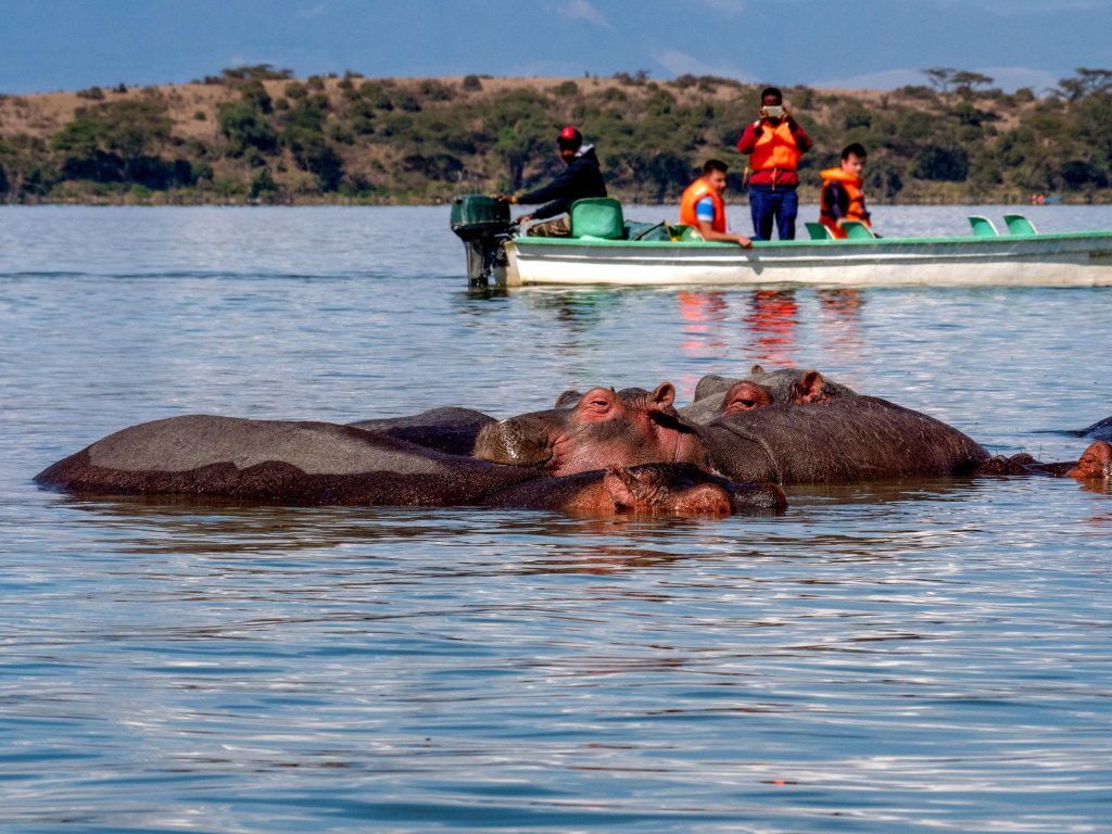 lake naivasha camptrek safaris