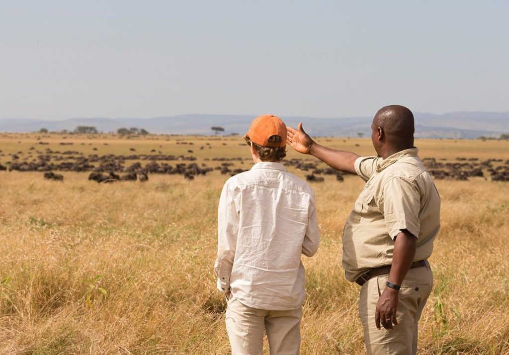 serengeti12