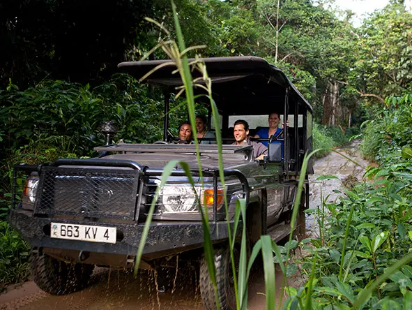 Why East Africa? Why Kenya & Tanzania Remain the World's Greatest Safari Destinations 3 Jeep in the Congo