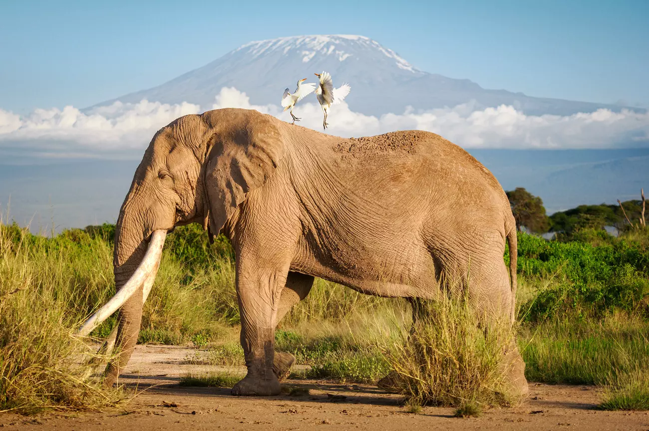 A member of the Camptrek Safaris team