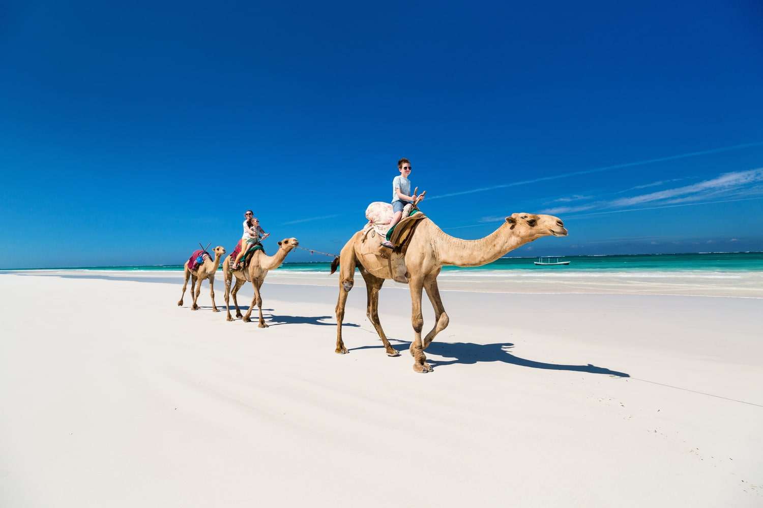 Kenya coast beach and Swahili heritage