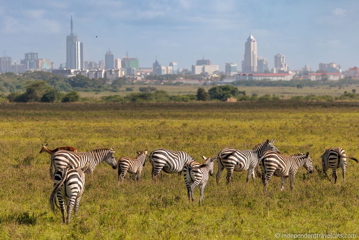 Nairobi travel experience Kenya 2026