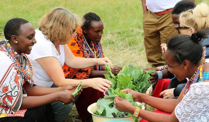 Sustainable tourism in Kenya wildlife and conservation