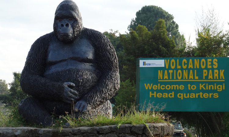 Volcanoes National Park, Rwanda