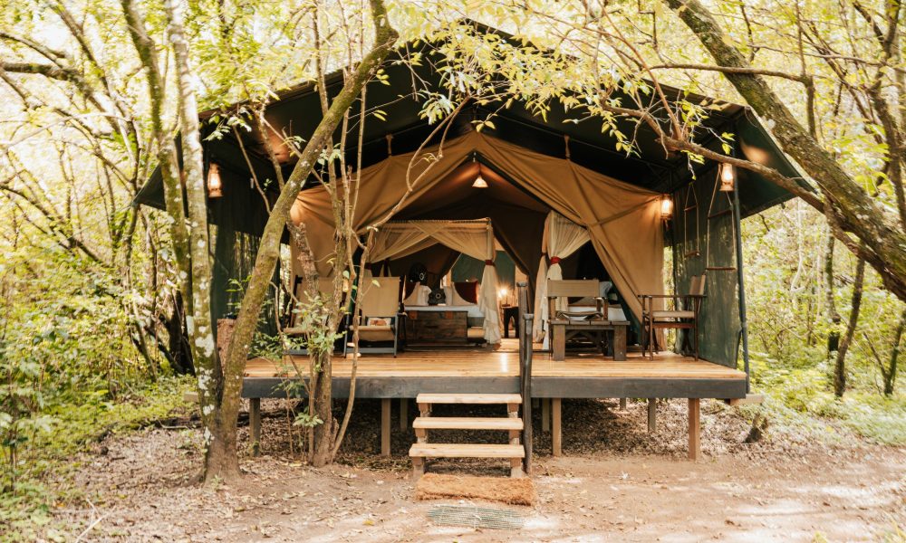 Mara Bush Camp4